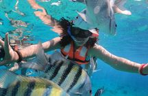 Crystal Boat Tour with Snorkeling and Drinks in Cozumel