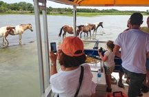 Wild Pony Watching Boat Tour from Chincoteague to Assateague