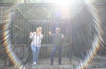 Discover Los Angeles by Mini-Car 