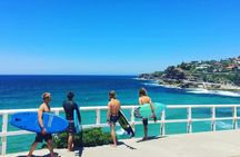 Sydney 6 Hour Private Tour