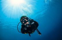 2 Days & 1 Night - 2 Dives in Lembongan/Penida (for certified divers) 