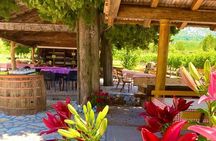Half-Day Wine and Food Tasting from Dubrovnik