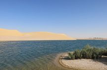 Discover Fayoum , Tunis village and Sandboarding