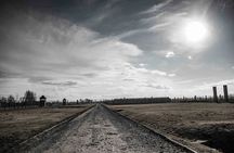 Auschwitz-Birkenau: Entry Ticket with Guided Tour