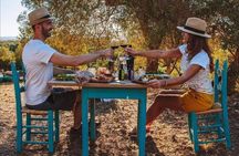 Sardinian Olive Oil tasting & Picnic among the olive trees
