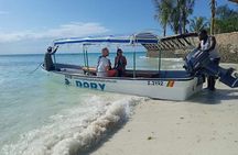 5-Hour Snorkeling, Swimming with Dolphins and Sea Turtles Aquarium