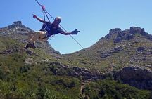 Cape Town Zipline, Penguins and Cape of Good Hope Private Tour