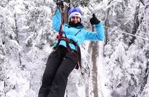 Cerro Lopez Zipline Adventure from Bariloche