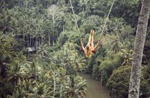 Private Tour To Tibumana Waterfall, rice terraces & Jungle Swing