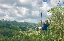 Bali Private Tour : Best Of Ubud & Volcano View With Jungle Swing