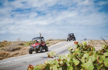 Art, Facts & Baby Beach UTV Adventure by Fofoti