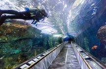 Aquarium of the Bay VIP Experience