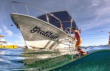 3-Hour Private Pelican Rock Snorkeling and chileno Bay
