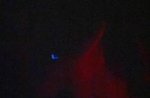 Bioluminescence Tour in Punta Cocos Holbox