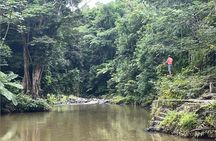 Full Day Private Tour Rain forest, beaches and caves of Puerto Rico