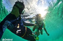OnBird - Private family KID-FRIENDLY Snorkeling trip by speedboat in Phu Quoc