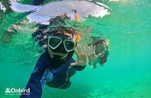 OnBird - Private family KID-FRIENDLY Snorkeling trip by speedboat in Phu Quoc