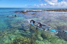 Clear Bottom Kayak - Guaranteed to see Turtles!