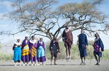 Savannah Escape & Active Culture Tour