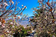 Private Sultan Qaboos Grand Mosque-Nakhal Fort-Wakan Village - Full Day Tour