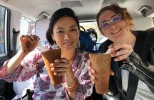 Taj Mahal tour with SOS Elephant Conservation & Care Center