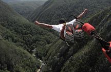 3 Day Garden Route Tour