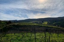 Crete: Olive, Wine, Raki - Flavorful Culinary Journey