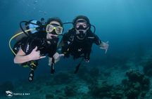 PADI Discover Scuba Dive