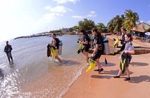 PADI Discover Scuba Dive