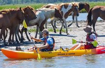 Kayak Tour along Assateague & Chincoteague Island, Virginia