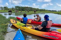 Kayak Tour along Assateague & Chincoteague Island, Virginia