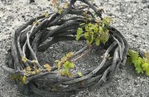 Santorini wine tasting and Traditional Cave Settlement Tour