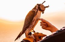Hot Air Balloon Ride & In-flight Falcon Show including Transfers