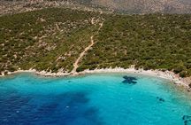 Orak island Boat Tour
