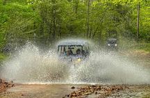 4 Hour Can-Am Experience to Hampshire Wineries