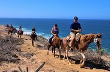 Horse Back Ridding Tour on the Pacific Ocean & Desert