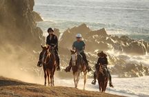 Horse Back Ridding Tour on the Pacific Ocean & Desert