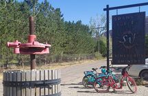 Moab Back Roads, History and Winery E-Bike Tour