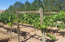 Moab Back Roads, History and Winery E-Bike Tour