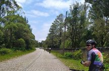 Private Cycling Tour to Morretes - via Estrada da Graciosa / including transfer from Curitiba