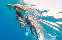 Oahu Coastline Cruise: Turtle Snorkeling and Jumping Platform