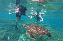Oahu Coastline Cruise: Turtle Snorkeling and Jumping Platform