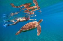 Oahu Coastline Cruise: Turtle Snorkeling and Jumping Platform