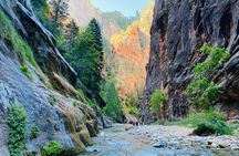 The Narrows: Zion National Park Private Guided Hike