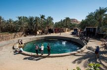 From Cairo: Sulfur & Salt Lake Swim, 4x4 Safari & Siwa Oasis Tour