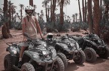 Live an unforgettable adventure, quad ride in the palm grove 