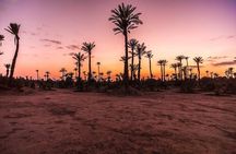 Live an unforgettable adventure, quad ride in the palm grove 