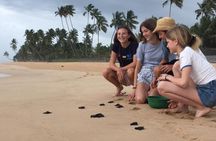 Explore Srilanka in 9 Nights 10 Days 