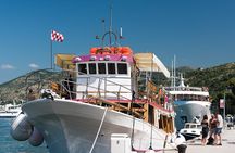Rent a Boat! (Group Option - Half Day)