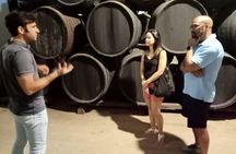 Wine tourism, visit to a traditional winery and wine tasting